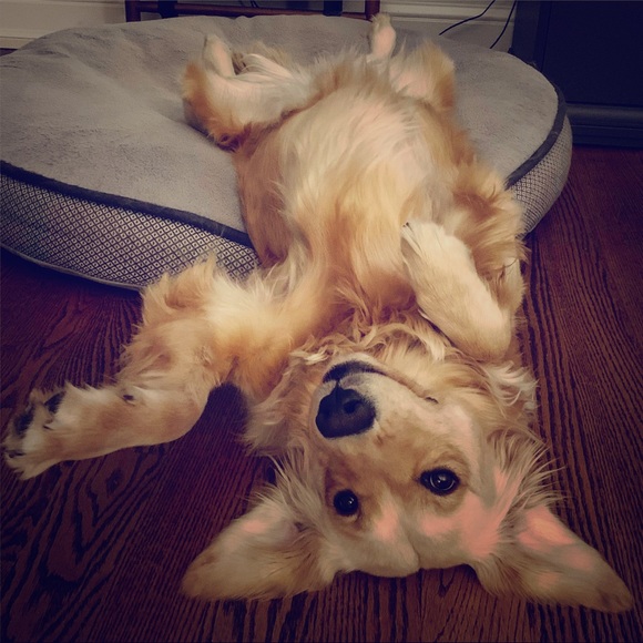 Meet your Posher, Sarah - Picture 1 of 1